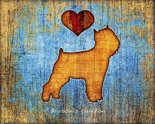 Brüksel Griffon Köpek Irkı Sanat Baskısı Dan Morris