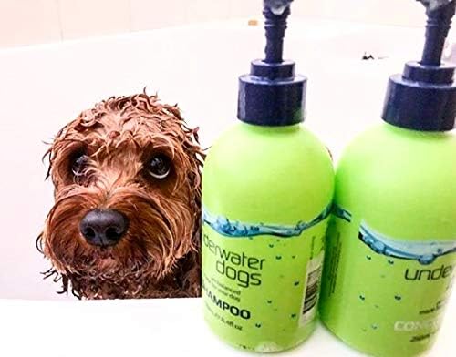 Kuru Kaşıntılı Ciltler için Sualtı Köpekleri Sabunsuz Köpek Şampuanı ve Kaşıntılı Ciltler için Nemlendirici Köpek Kremi